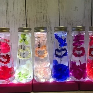 IPS協会 ハーバリウム認定講師の画像