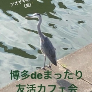 今日12日（金）◆◇17時〜◇◆博多deまったり友活カフェ会◆◇...