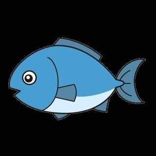 釣りレディースチーム募集です