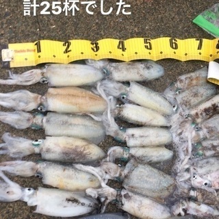 ゴムボート ティップラン募集