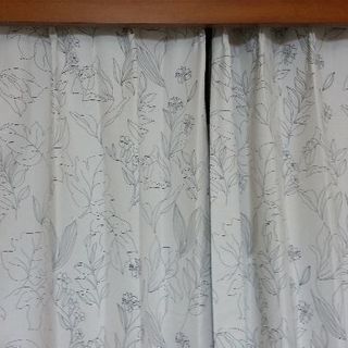 カーテン譲りますの画像