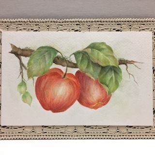 　簡単楽々水彩画　“Delicious Apples”