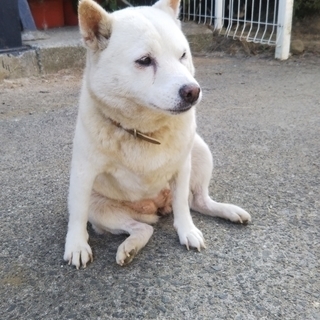 トライアル予定 − 福島県