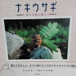 大雪の峰々　ナキウサギ写真集　帯付き【ムベの本棚】