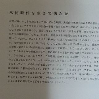 大雪の峰々　ナキウサギ写真集　帯付き【ムベの本棚】の画像