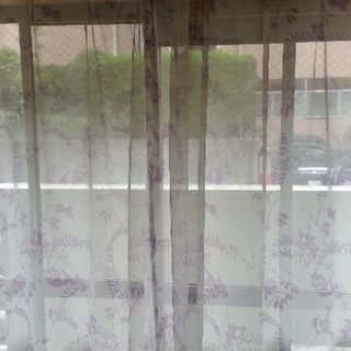 カーテン譲りますの画像