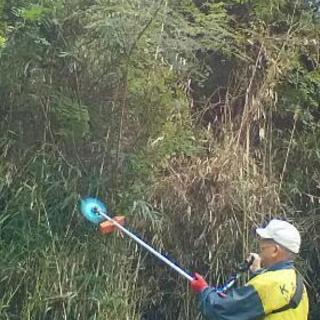 つる巻の繁り冬の庭草バリ刈り取り☺