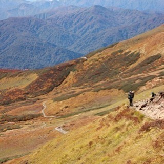 一緒に登山行きませんか？
