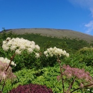 一緒に登山行きませんか？ - 友達