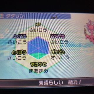 ポケモン仲間募集中