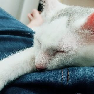 歳が近い友達募集！