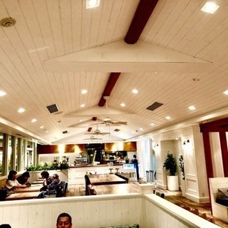 社会人カフェ友募集中🌟 - 渋谷区