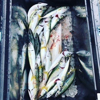 釣り仲間募集しています