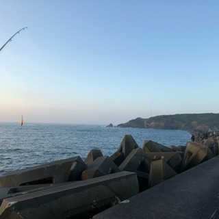釣り仲間募集しています - 友達