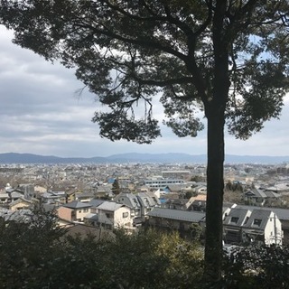 週末とか遊べる友達募集です！
