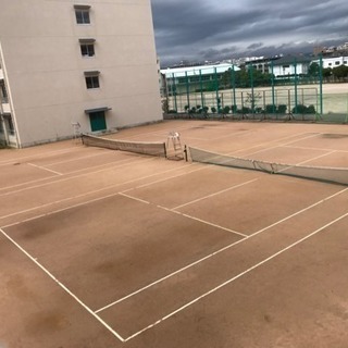 ソフトテニス メンバー募集