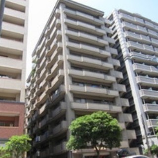 物件番号：98686677