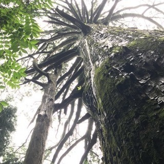 川根地区ハイキング