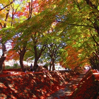 1300～★現金払。紅葉祭。限定■□□10:00(9:00)～1...