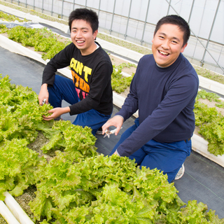 【障がい手帳をお持ちの方】New Open！あと10名！！★ 障がい者の方がイキイキと働ける農園『わーくはぴねす農園 松戸ファーム！』の画像