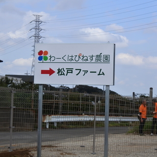 【障がい手帳をお持ちの方】New Open！あと10名！！★ 障がい者の方がイキイキと働ける農園『わーくはぴねす農園 松戸ファーム！』の画像