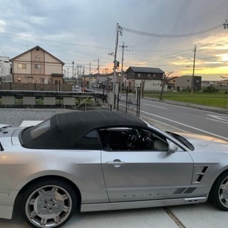 マスタングの画像