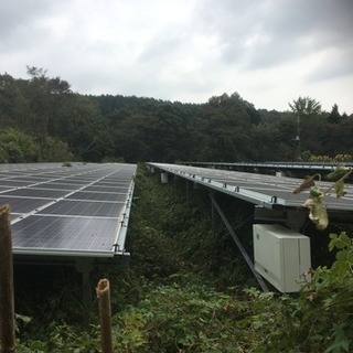 ソーラーパネル周り草刈り作業 バイト募集