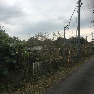 ソーラーパネル周り草刈り作業 バイト募集の画像