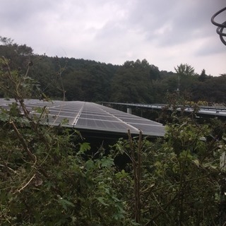 ソーラーパネル周り草刈り作業 バイト募集の画像