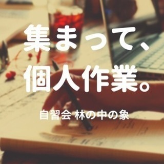 カフェで読書・勉強・創作活動etc. ☆自習会 林の象★