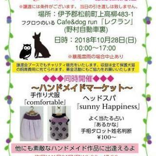 保護犬猫の譲渡会&ハンドメイドマーケット開催