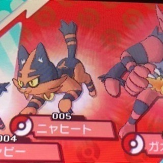 ポケモンカード仲間
