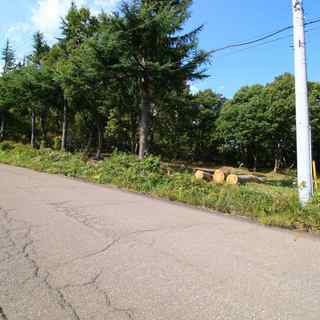 【売主】　妙高市大字関山（妙高ニューライフヴィレッジ分譲地内）　売地