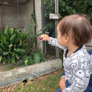お友達募集