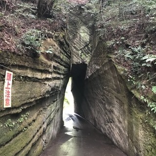 ツーリング仲間募集😊