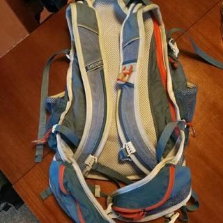 🌸GREGORY  リュックサック　中古🌸の画像