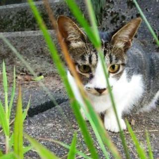 平日、休日ツーリング仲間募集！ - 東広島市