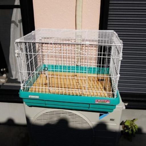 ウサギ飼育セットを出品します