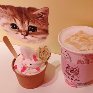 カフェ、インスタ、写真友達募集^_^