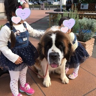 １１／１０ 大宮駅前 ワンちゃんふれあい広場 スタッフ募集