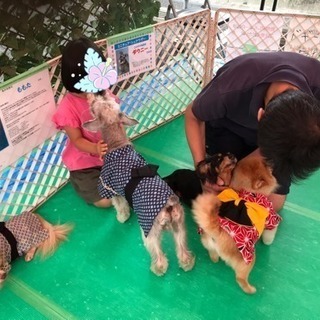 １１／１０ 大宮駅前 ワンちゃんふれあい広場 スタッフ募集の画像