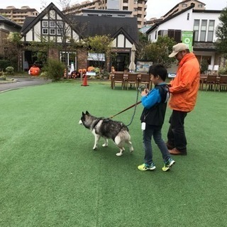 １１／１０ 大宮駅前 ワンちゃんふれあい広場 スタッフ募集の画像