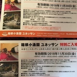 箱根小涌園ユネッサン 1枚二千円 2枚ありますの画像