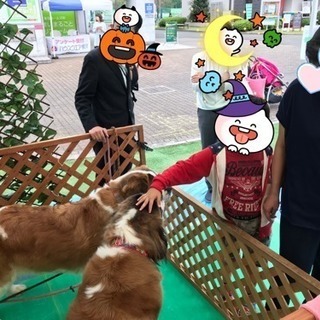 １１／１７ 宇都宮 イベントスタッフ募集 日給1万円の画像
