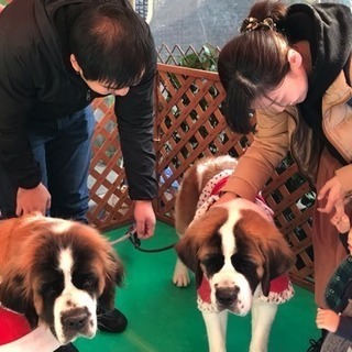 １１／２４ 東京都立川市内 イベントスタッフ募集の画像