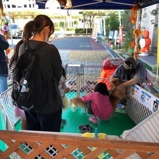 １１／２４ 東京都立川市内 イベントスタッフ募集の画像