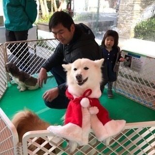 １１／２５ 茨城県土浦市 イベントスタッフ募集 日給1万円の画像
