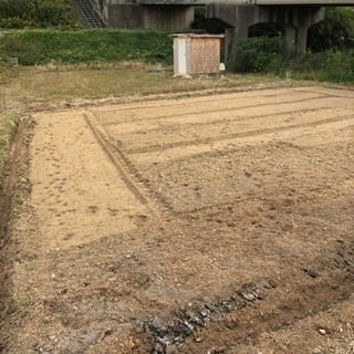 貸農園