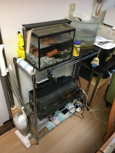 アクアリウム 水槽