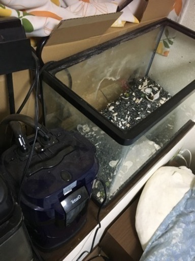 アクアリウム 水槽